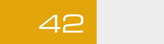 Overall Score - 42