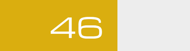 Overall Score - 46