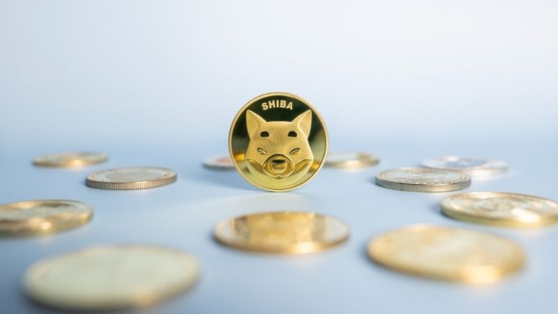 Shiba Inu: The 'DOGE Killer' Turned Philanthropy Turned DEX Now Turns DAO