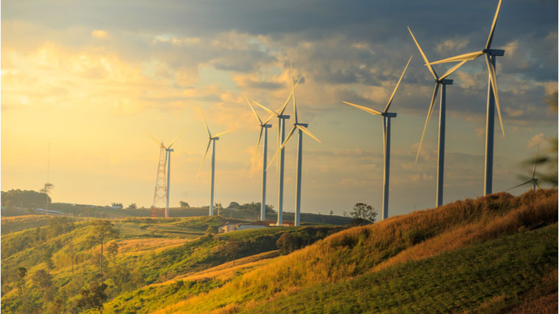 What is the Market's View on NextEra Energy Inc (NEE) Stock's Price and Volume Trends Friday?